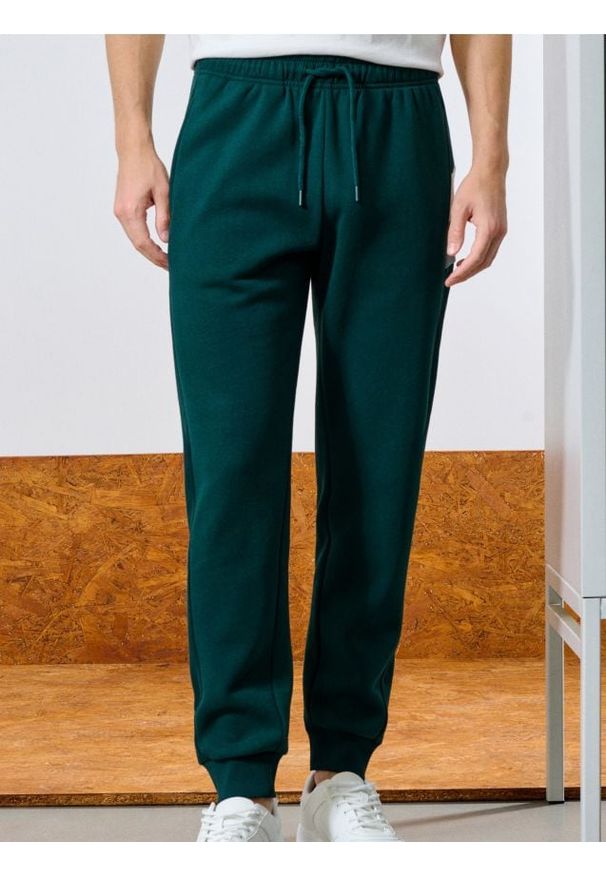 Sinsay - Spodnie dresowe - zielony. Kolor: zielony. Materiał: dresówka