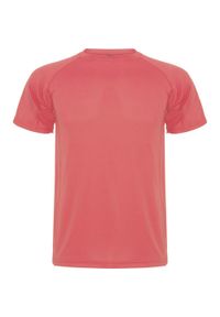 ROLY - Męska Koszulka Sportowa Montecarlo Z Krótkim Rękawem. Kolor: pomarańczowy. Długość rękawa: krótki rękaw. Długość: krótkie. Sport: turystyka piesza #1