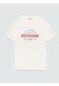 Big-Star - Koszulka męska z kontrastowym nadrukiem biała Sers 100. Kolor: biały. Materiał: denim, skóra, dzianina. Wzór: nadruk. Styl: elegancki, klasyczny #5