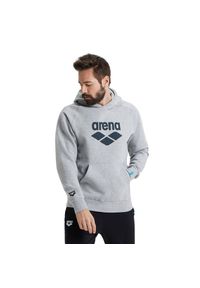 Bluza Arena Hooded Sweat Logo z kapturem. Typ kołnierza: kaptur. Kolor: szary #1