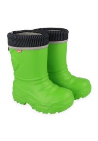 Befado obuwie dziecięce kalosz- zielony 162Y303 zielone. Kolor: zielony #3