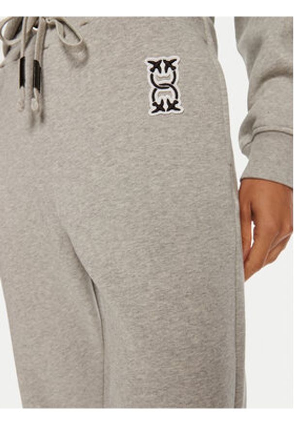 Pinko Spodnie dresowe Carico 100371 A23C Szary Regular Fit. Kolor: szary. Materiał: bawełna