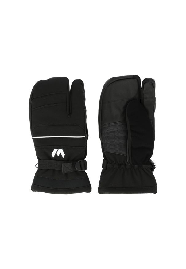 Rękawiczki damskie Whistler Allegro 3. Kolor: czarny. Sezon: zima. Sport: narciarstwo