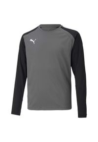 T-Shirt Puma Teampacer Gk Ls Jersey Jr Dzieci. Kolor: wielokolorowy, szary, czarny. Materiał: poliester #1