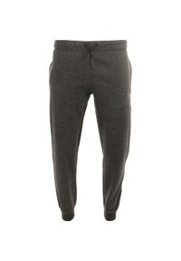 ZOOPLEMENTS - Spodnie dresowe męskie Athl. DPT. Rametto — Charcoal Melange, S. Kolor: szary. Materiał: dresówka. Sport: piłka nożna #1