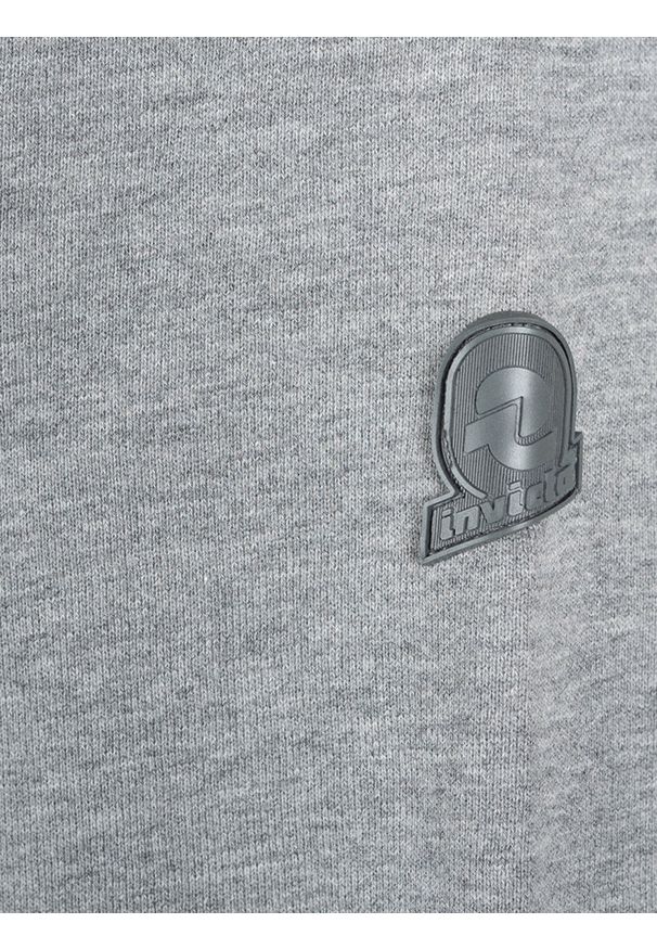 Invicta Bluza "Zip-Hoodie" | 4454252/U | Mężczyzna | Szary Melanż. Okazja: na co dzień. Typ kołnierza: kaptur. Kolor: szary. Materiał: bawełna. Wzór: melanż. Styl: casual