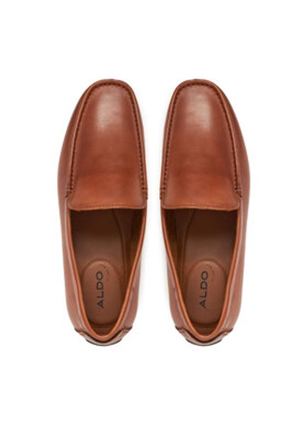 Aldo Mokasyny Ederrac 13913396 Brązowy. Kolor: brązowy. Materiał: skóra