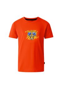 DARE 2B - Koszulka Dziecięca Amuse II Tiger. Kolor: czerwony
