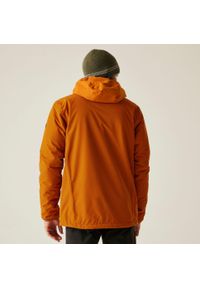 Regatta - Kurtka męska przeciwdeszczowa Caspen. Kolor: pomarańczowy. Materiał: tkanina, puch. Sport: turystyka piesza #2