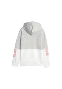 Puma - Bluza sportowa dla dzieci Power Colorblock Fl. Kolor: szary