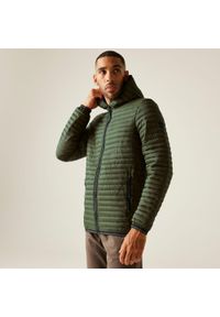 Regatta - Kurtka męska przejściowa Rigain. Kolor: zielony, brązowy, wielokolorowy. Materiał: puch, syntetyk. Sport: turystyka piesza #1
