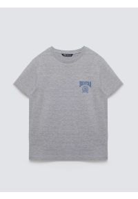 Big-Star - Koszulka chłopięca z nadrukiem szara Rafer 902. Kolor: szary. Materiał: dzianina, materiał, dresówka, skóra, jeans. Wzór: nadruk. Styl: sportowy, klasyczny, młodzieżowy #1