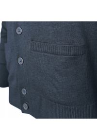 Bawełniany Sweter Męski, Rozpinany (Kardigan) - Pako Jeans - Jasny Granat. Okazja: na spotkanie biznesowe, do pracy. Kolor: niebieski. Materiał: bawełna. Styl: biznesowy, klasyczny #5