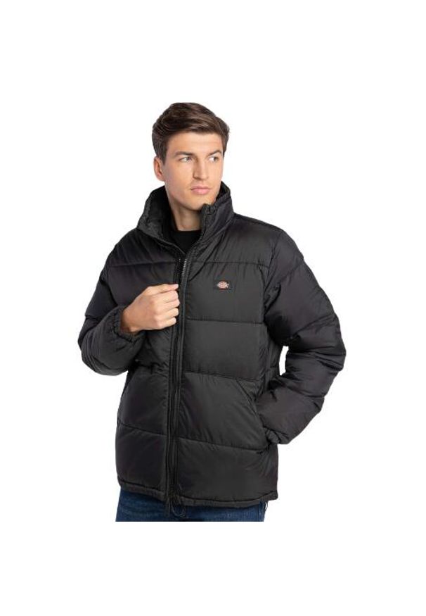 Kurtka zimowa męska Dickies Waldenburg. Kolor: czarny. Sezon: zima. Styl: sportowy
