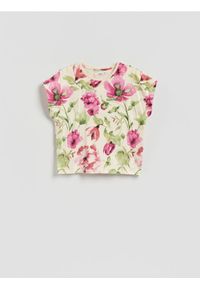 Reserved - T-shirt z raglanowym rękawem - wielobarwny. Materiał: dzianina, bawełna. Długość rękawa: raglanowy rękaw #1