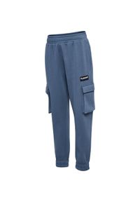 Spodnie dresowe z kieszeniami Hummel Allton Cargo Pants. Kolor: niebieski. Materiał: dresówka. Sport: piłka nożna