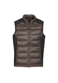 IDAHO - Kurtka puchowa bez rękawów Idaho Nevada. Kolor: brązowy. Materiał: puch. Długość rękawa: bez rękawów. Sport: outdoor #1