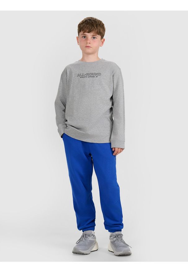 4f - 4F Longlseeve regular z nadrukiem chłopięcy - szary 122 (6-7 lat). Okazja: na co dzień. Kolor: szary. Materiał: jersey, bawełna, materiał. Długość rękawa: długi rękaw. Długość: długie. Wzór: nadruk. Sezon: lato. Styl: casual, klasyczny, sportowy