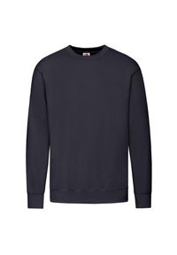 FRUIT OF THE LOOM - Lekka Męska Bluza Z Kapturem. Typ kołnierza: kaptur. Kolor: niebieski