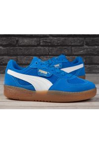 Buty damskie sportowe sneakersy Puma PALERMO MODA VINTAGE WNS. Kolor: brązowy, biały, wielokolorowy. Sezon: lato. Sport: turystyka piesza #2