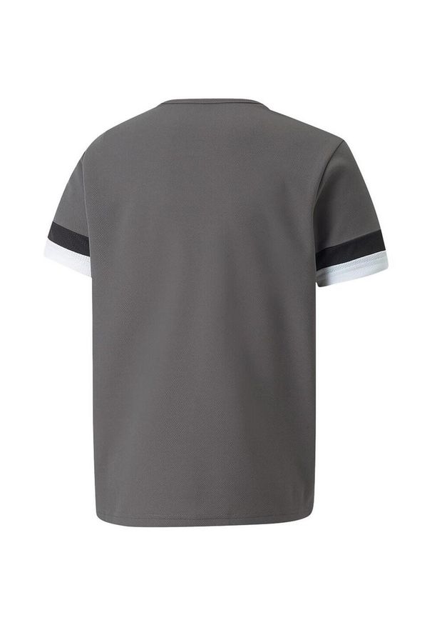 Puma - Koszulka TeamRISE Dla Dzieci. Kolor: szary