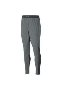Spodnie Puma King Ultimate Training Pants, Mężczyźni. Kolor: szary. Materiał: poliester, materiał, dresówka. Sport: piłka nożna