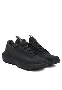 Arc'teryx Trekkingi Norvan Ld 4 Gtx X000010399 Czarny. Kolor: czarny. Materiał: materiał #6
