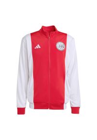 Adidas - Koszulka treningowa Ajax Amsterdam 2025/26. Kolor: biały. Sport: piłka nożna #1