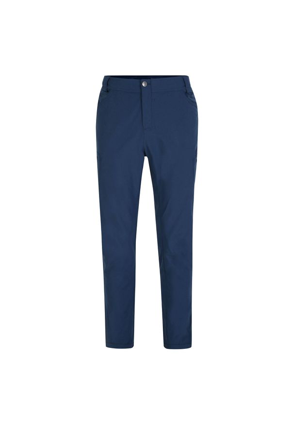 DARE 2B - Męskie Spodnie Trekkingowe Tuned In II. Kolor: szary, niebieski, wielokolorowy. Sezon: lato. Sport: turystyka piesza