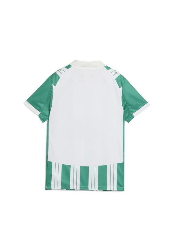 Puma - Młodzieżowa koszulka domowa SK Rapid Wiedeń 25/26 PUMA White Sport Green. Kolor: zielony, biały, wielokolorowy. Wzór: paski. Sport: piłka nożna