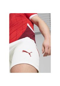 Puma - Męska replika spodenek do piłki nożnej reprezentacji Szwajcarii PUMA. Kolor: biały, czerwony, wielokolorowy