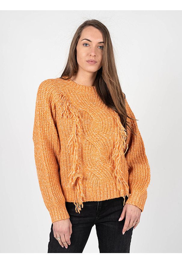 Silvian Heach Sweter | PGA22007MA | Kobieta | Pomarańczowy. Kolor: pomarańczowy. Materiał: poliester, elastan, akryl, wełna. Wzór: ze splotem