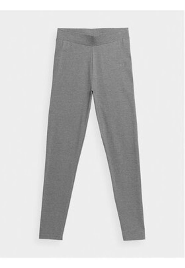 4f - 4F Legginsy 4FAW23TTIGF108 Szary Regular Fit. Kolor: szary. Materiał: bawełna