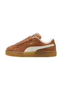 Buty do chodzenia damskie Puma 39520549. Zapięcie: sznurówki. Kolor: brązowy. Materiał: tkanina, materiał, syntetyk, skóra, guma. Szerokość cholewki: normalna. Sport: turystyka piesza