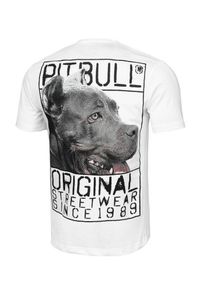 PITBULL - Koszulka bawełniana sportowy t-shirt dla dorosłych Origin. Kolor: biały, wielokolorowy, szary. Materiał: bawełna #2