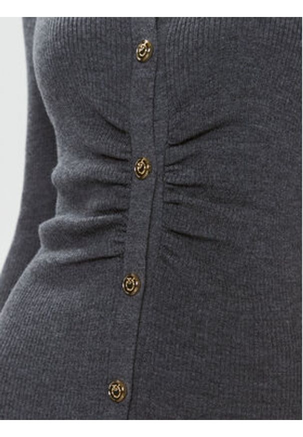 Pinko Sukienka dzianinowa Ermellino 101926 A15S Szary Slim Fit. Kolor: szary. Materiał: wełna