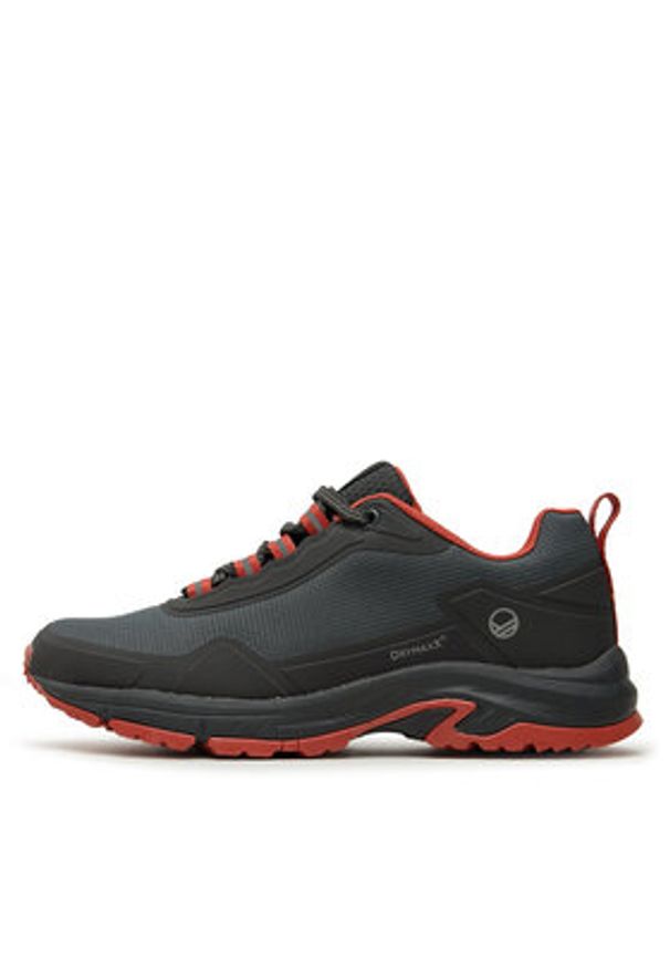 Halti Trekkingi Fara Low 2 Men's Dx Outdoor Shoes 054-2620 Szary. Kolor: szary. Materiał: skóra. Sport: turystyka piesza, outdoor