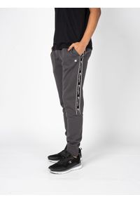 Champion Spodnie "Sweat Pants" | 217833 | Mężczyzna | Szary. Okazja: na co dzień. Kolor: szary. Materiał: bawełna, poliester. Wzór: nadruk. Styl: casual, sportowy