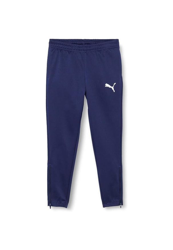 Spodnie piłkarskie dla dzieci Puma teamRISE Poly Training Pants Jr. Kolor: niebieski, wielokolorowy, biały. Materiał: poliester. Styl: sportowy