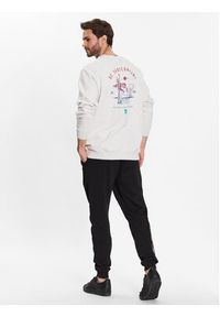 DC Shoes Bluza ADYSF03105 Szary Regular Fit. Kolor: szary. Materiał: bawełna #4
