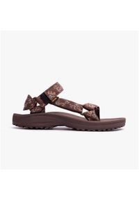 Sandały turystyczne męskie Teva Winsted. Kolor: brązowy. Sport: pływanie #1