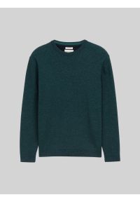 Męski Sweter Tom Tailor Structured Crewneck Knit Jasper Green Navy Twotone 1047570 38770 #4