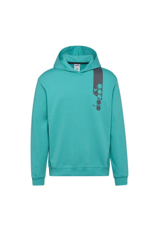 Diadora - Bluza męska DIADORA HOODIE ICON. Kolor: niebieski