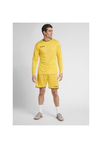 Hummel koszulka męska z długim rękawem hml Authentic Poly Jersey. Kolor: żółty, wielokolorowy, pomarańczowy, czarny. Materiał: jersey. Długość rękawa: długi rękaw. Długość: długie