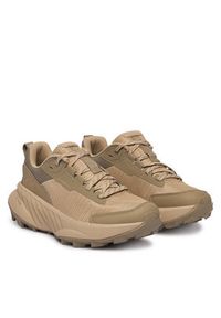 Helly Hansen Trekkingi AWE Hiker DWR 12098 Khaki. Kolor: brązowy. Materiał: materiał #4