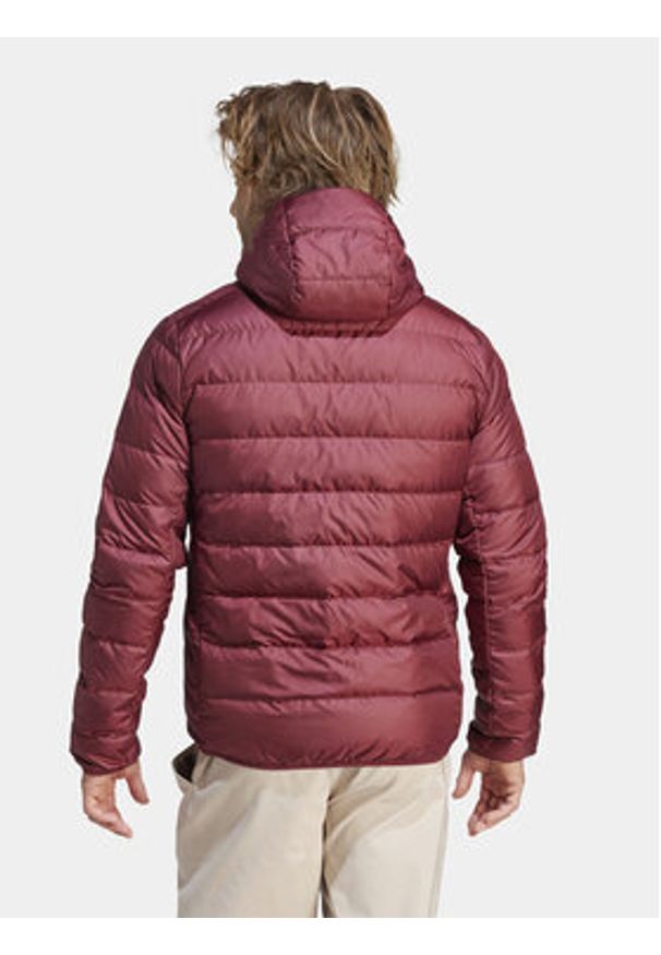 Adidas - adidas Kurtka puchowa Terrex Multi Light Down IP6040 Czerwony Slim Fit. Kolor: czerwony. Materiał: puch, syntetyk