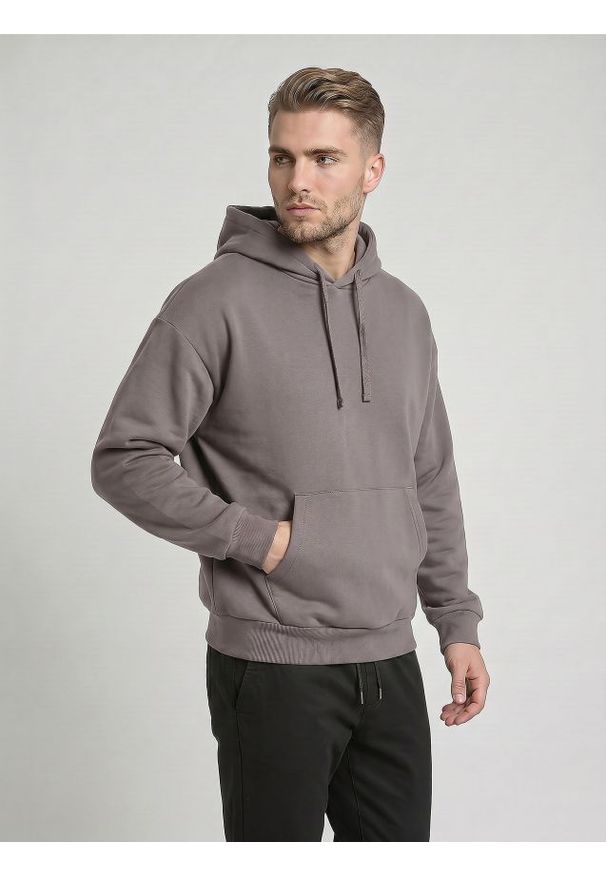Sinsay - Bluza z kapturem comfort fit z domieszką bawełny - szary. Typ kołnierza: kaptur. Kolor: szary. Materiał: bawełna
