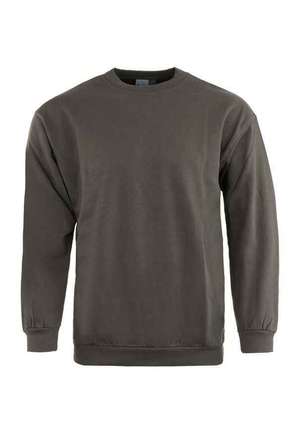 GLENMUIR - Męski Sweatshirt Promodoro w Bawełnie 2XL Ciemnoszary. Typ kołnierza: kaptur. Kolor: szary. Materiał: bawełna