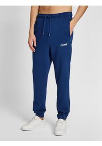 Jogging Hummel lgc Ryan. Kolor: niebieski. Materiał: dresówka. Sport: bieganie