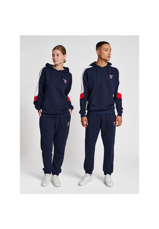Bluza z kapturem Hummel IC Claude. Typ kołnierza: kaptur. Kolor: niebieski